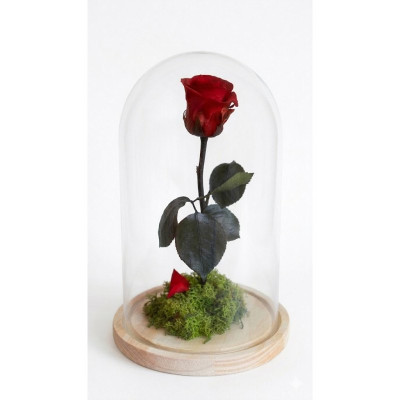 Rosa Eterna en Cúpula de Cristal | Flores Nuevas